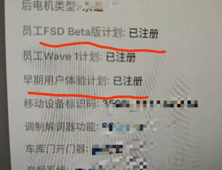 Tesla FSD Beta Program Spotted in China